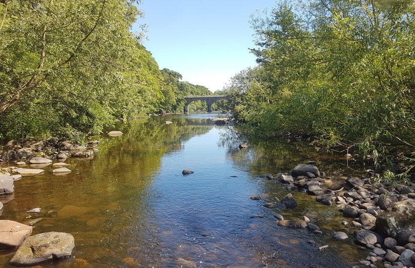 The Area